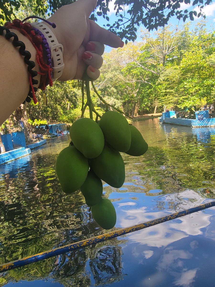 Bonny_2vx's tweet photo. Quien quiere.? 😋
#Rio
#mangoVerde https://t.co/QOrkxS4cDH