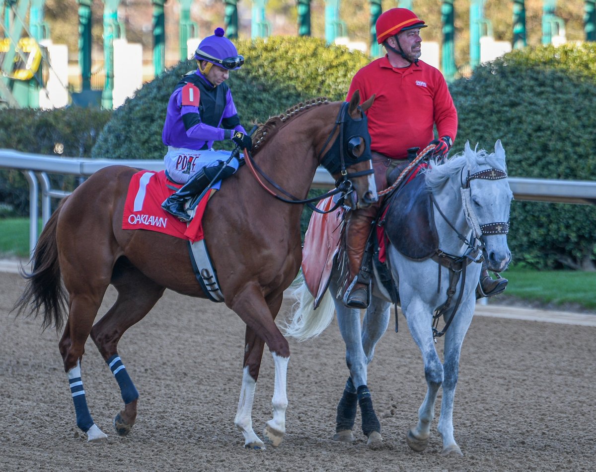Robert Yates (@robertyates1982) on Twitter photo The aptly named Kneedeepinsnow before R8 Monday <a href="/OaklawnRacing/">Oaklawn Hot Springs</a> for <a href="/shirerracing/">Matt Shirer</a> & <a href="/Tenstrikeracing/">Ten Strike Racing</a>. The aptly named Kneedeepinsnow before R8 Monday <a href="/OaklawnRacing/">Oaklawn Hot Springs</a> for <a href="/shirerracing/">Matt Shirer</a> & <a href="/Tenstrikeracing/">Ten Strike Racing</a>.