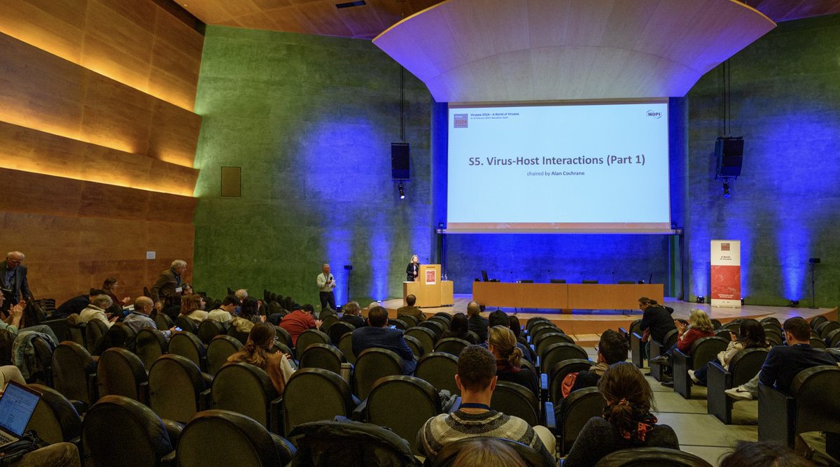 Svetlana Folimonova tweet media