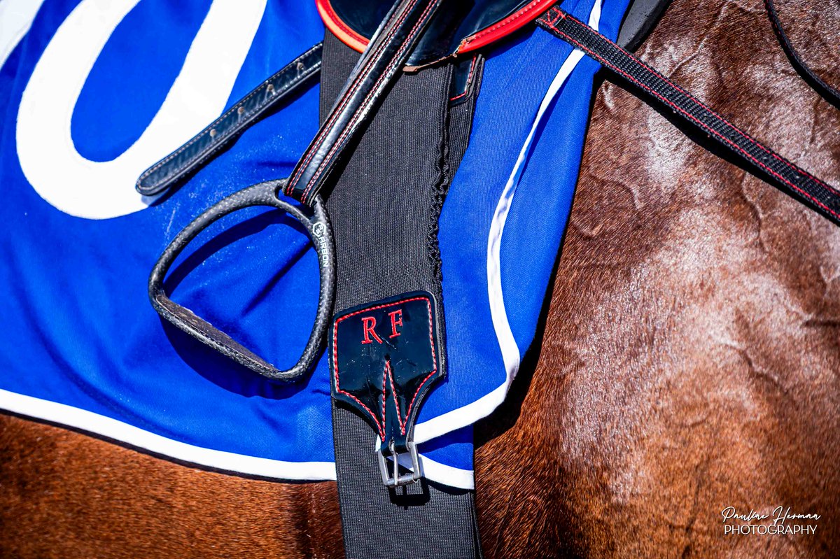 NMB_racing's tweet photo. 🏇 Warm &amp; Windy Racing at Fairview today… The day was dominated by 3 yards with wins; Gavin Smith 4, KM Racing 2, Alan Greeff won both features!

🏇Enjoy the weekends racing; tomorrow at Hollywoodbets Kenilworth, and Sunday we’re at Turffontein Standside! https://t.co/cbzC77S6JU