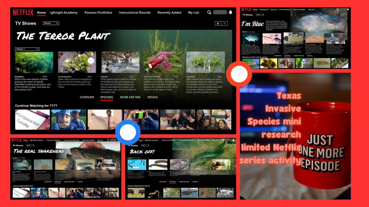 LaToya Sapp, M.Ed tweet media