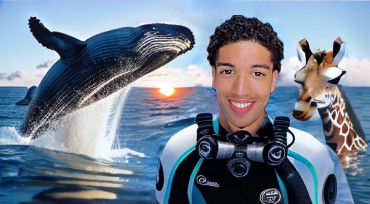 calledlawrence's tweet photo. Neues Video auf YouTube war mit Walen schwimmen checkt es ab https://t.co/apkei3JSAO https://t.co/PeQpIMzD7f