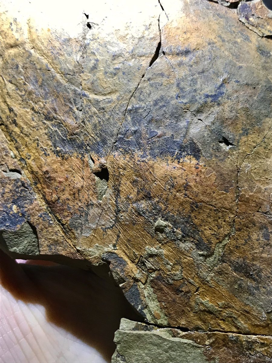 Prehistorica (Christian M.) tweet media