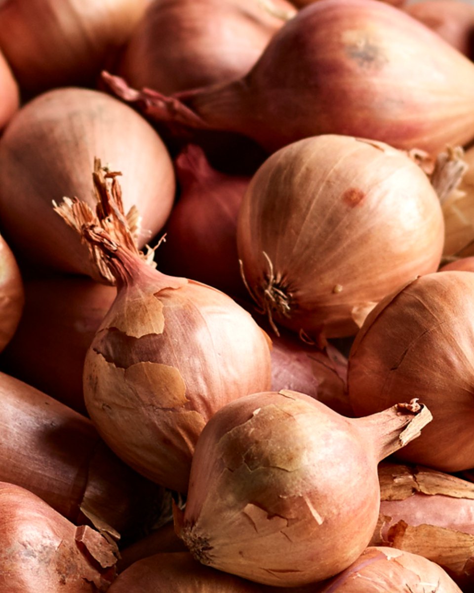 Did you know shallots are available all year round?

Pick up some wonderful shallots this weekend and head to our website for some wonderful recipes and inspiration!