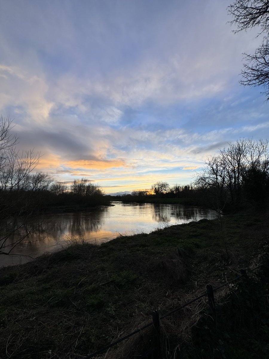 Jo Garzoni tweet media