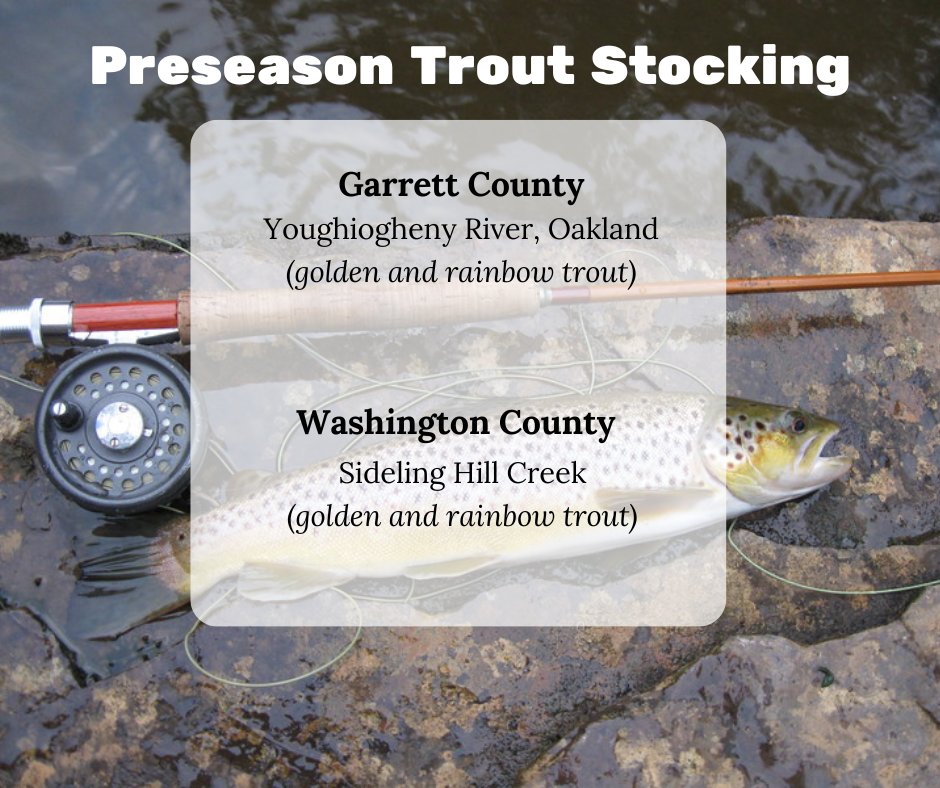 Washington Fish Stocking Schedule 2024 Tiffy Giacinta
