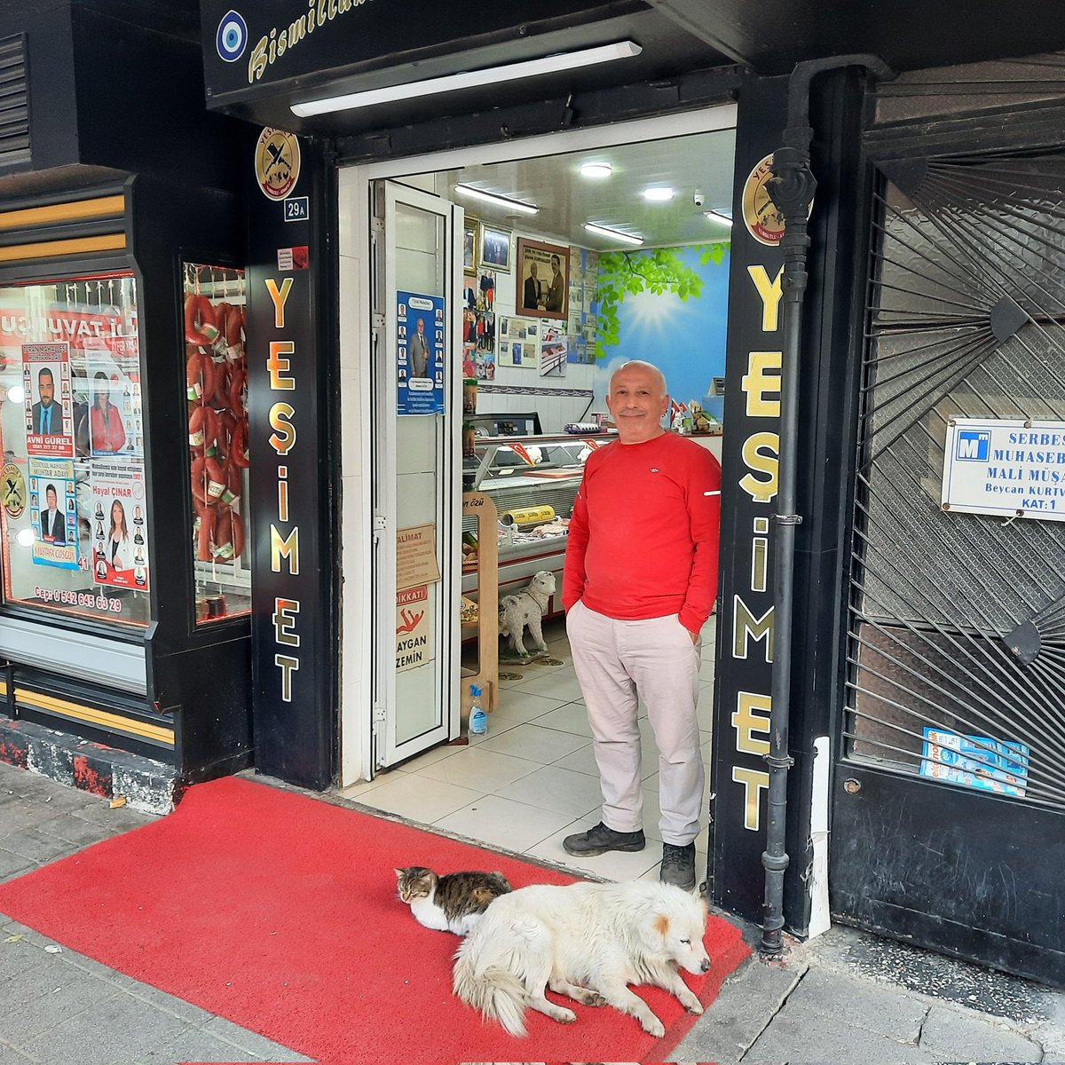 ikramkorkmazer's tweet photo. DÜNYADA SEVGİ KAZANACAK 💖
#chiengioi4d #chiens #animalslove_original #hundetraining #dogslove #dogstory #dogsvideo #animals #doglover #catlovers #catsanddogs #catslover #catslove #kittykat #kittylove #kittyworldph #animals #animalsurvival #animalsworld #chatwa https://t.co/RaUPau3uAZ