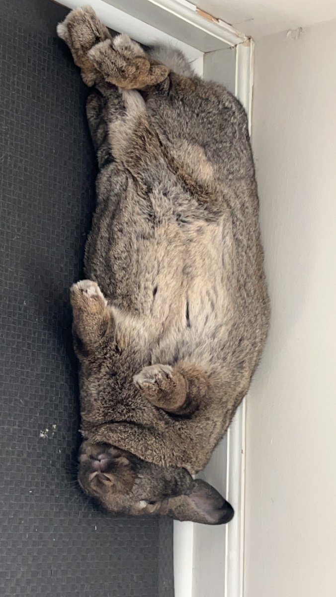 Joseph Rea tweet media