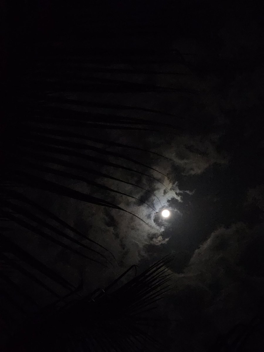 herumbsharma's tweet photo. #23ultra https://t.co/iuIdhGVm1D