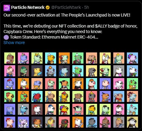 GA Crypto on X: "🔥 Grab Particle Network ERC-404 NFT Collection #CapybaraCrew If you Inscribed $Ally Inscription on #Linea, • NFT name: CAPYBARA CREW • Total supply: 6000 • Minimum stake is