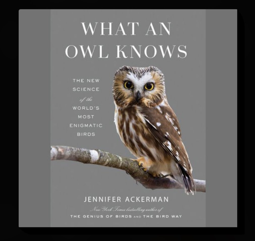 TeamConcordia's tweet photo. @goodreads 🦉 https://t.co/vDedHbHHf8