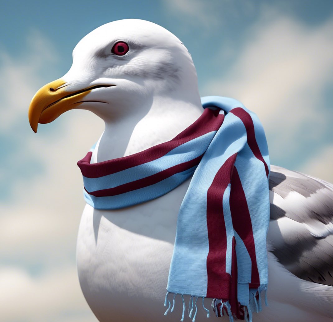 Seagulls!