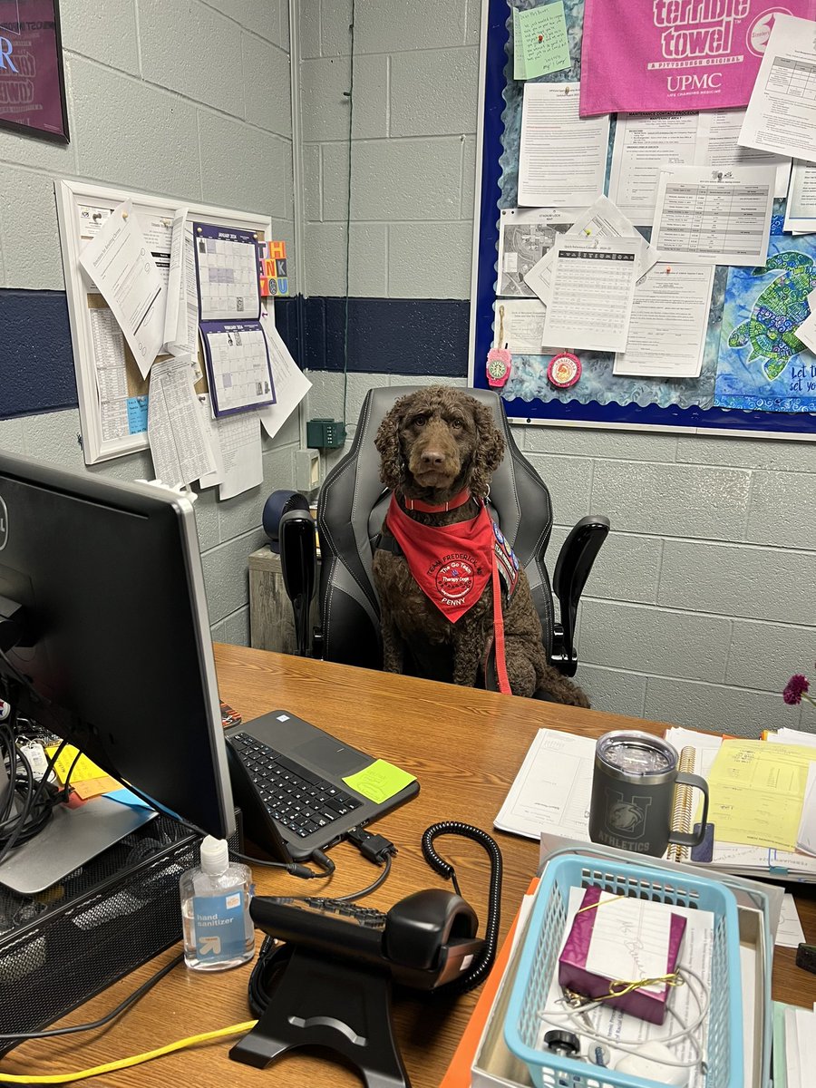 Friday vibes from the Athletics office! #goteamtherapydogs