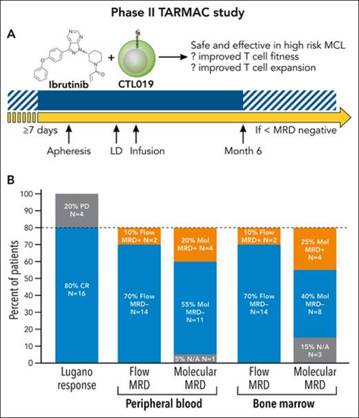 Does BTKi improve CAR T-cell therapy in MCL? ow.ly/zjll50QGPSi #clinicaltrialsandobservations