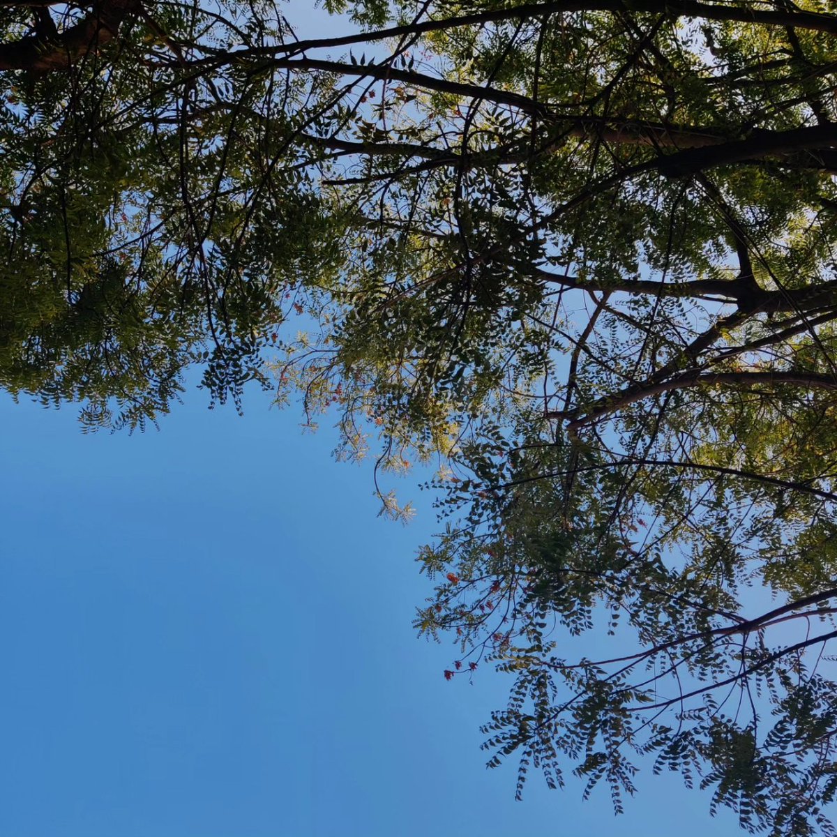 js⚡ tweet media