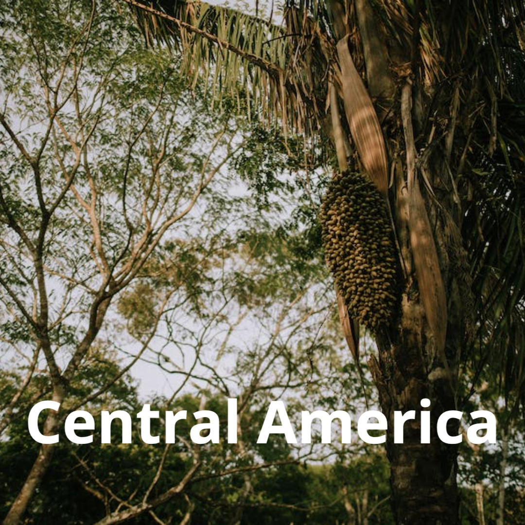 Venturing into the heart of Central America. From Panama's iconic canal, the volcanic landscapes of Nicaragua, exploring Guatemala's ancient ruins and Mexico's vibrant culture and traditions. 
Join us as we explore the exciting culture! 
#Scouts #CentralAmerica #CulturalDiscovery