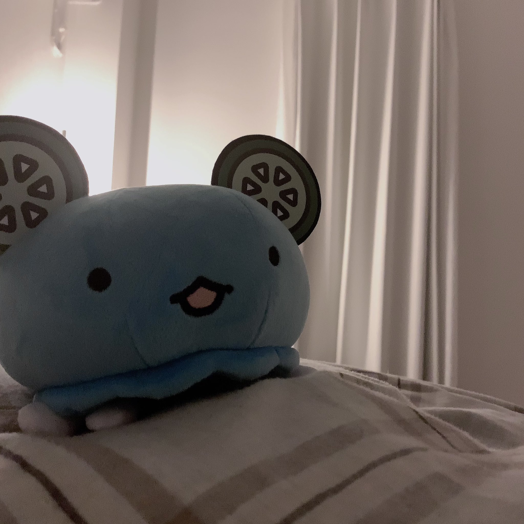 藍月なくる ぬいぐるみ 藍月なくる&なくらげ ぬいぐるみ 生誕祭2024