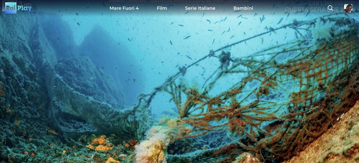 Usare la spazzatura (e le reti abbandonate) per raccogliere organismi marini preziosi per il restauro degli ecosistemi danneggiati. Ne parliamo a GEO con Sveva Sagramola. raiplay.it/video/2024/02/…