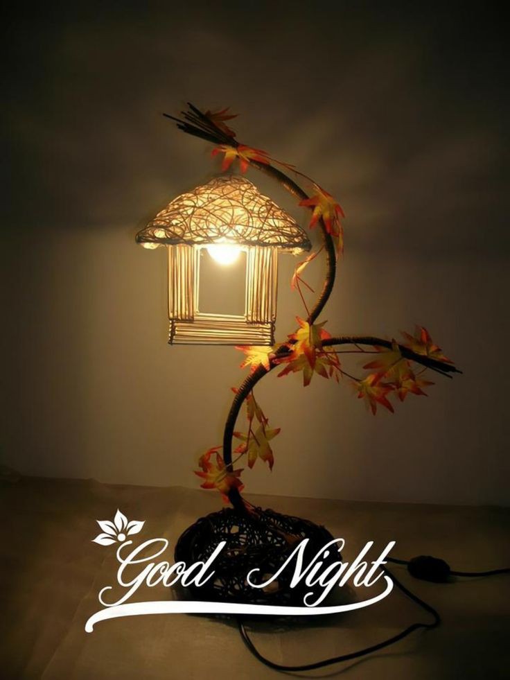 A Salam o alaikom 🌸
Good night X family 🌹
Sweet dreams 😴