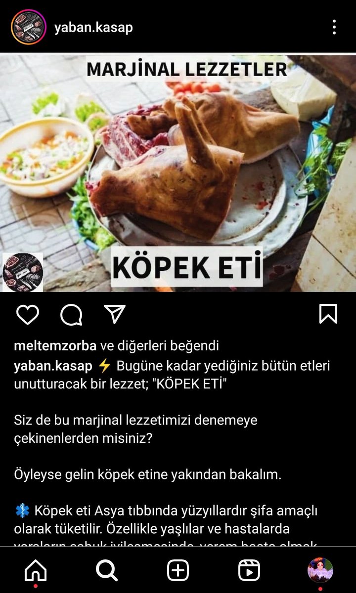 lepisteskalinka's tweet photo. Çüüüüüüşşşş!!!!!!!! Bu ne ya, BU NE ARTIK!? https://t.co/A8D9oLbelp