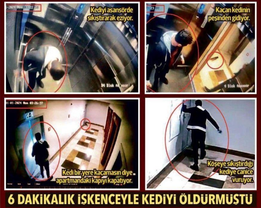 bizler, çocuklarımız, evcillerimiz,
büyüklerimiz, komşularımız,
tüm sevdiklerimiz... 
yaşadığımız binalarda,
attığımız her adımda,
bu cani yakında olabilir mi
diye endişe etmek istemiyoruz.
yeni davası 13 martta; 
peki katil 
#NeZamanTutuklanacak❓
#ibrahimkeloğlantutuklansın❗