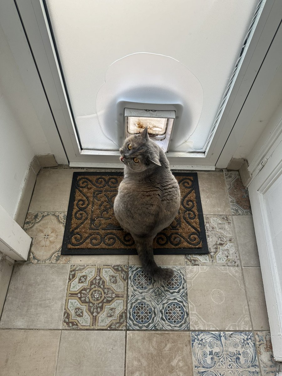 Judith Sautereau tweet media