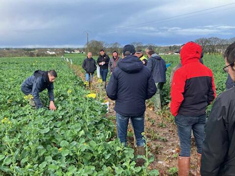 keffRV's tweet photo. Échanges  techniques autour  du suivi du #colza sur Nivillac (56). Merci  aux #agriculteurs 🙏 @EuredenGroup @terresinovia #cultivonsautrement https://t.co/uLsMh5u6Dc