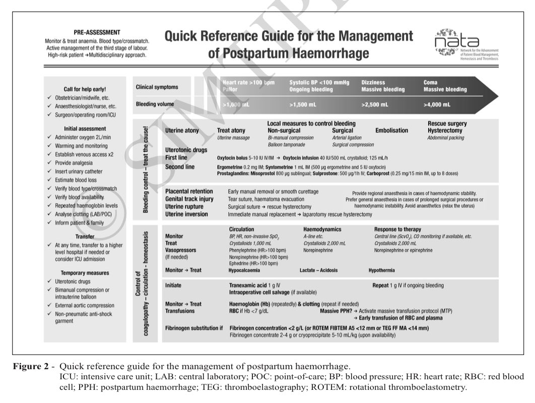 EmergPOCUS's tweet image. 🚨 #Uterotónicos en la #Hemorragia #Postparto (HPP)🚨

- Se #dividen en tratamientos de primera y segunda línea:

- Primera Línea: #Oxitocina💉
  - Se recomienda la oxitocina 5-10 IU, IV o IM, administrada como infusión o inyección lenta(1A).
  - La inyección en #bolo de