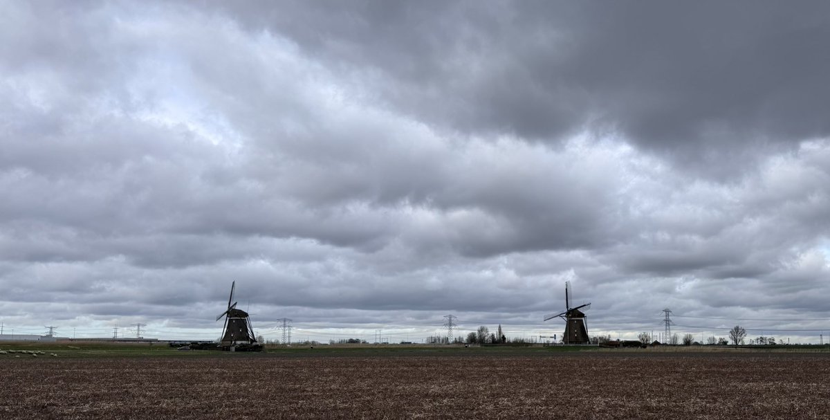 Molens in de rouw stand vanwege het overlijden van de heer Arie Dekker de oprichter van het Molenmuseum in de Tweemanspolder Zevenhuizen @gouweijssel @AD_GroeneHart @HartvanHolland @HanWeber @BeleefZuidplas @Zuidplas @Zevenhuizenaar @JBNNieuws @NewsNesselande @amuller70