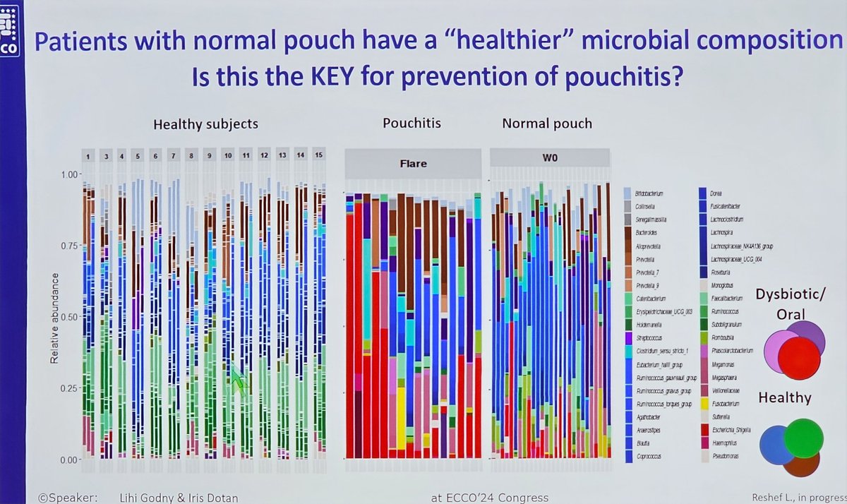 Medical & dietetic management of the ileal pouch durig @D_ECCO_IBD
workshops 🤩

Amazing lessons with amazing 🌟🌟from 🇮🇱 @Iris_Dotan & @LGodny 🫶🏻👌🏿🫶🏽

#diet 🥗 
#microbiome🦠
#dysbiosis 🔃
#antibootics 💊 
#inflamation 🔥 
and #pouchitis 😬

#ECCO2024 🇸🇪