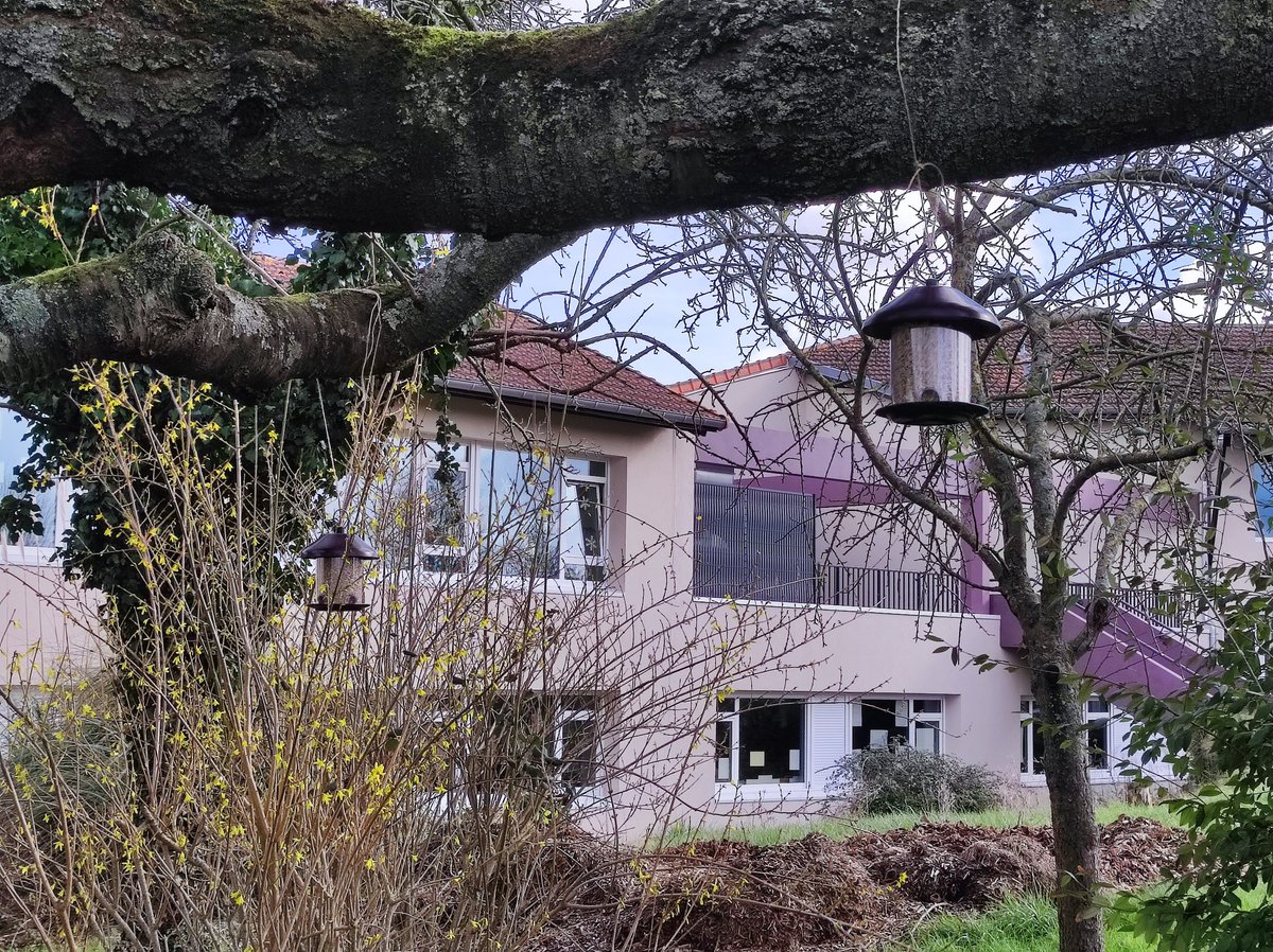 clgborisvian14's tweet photo. Installation de 2 mangeoires remplies de graines de tournesol pour observer le comportement des oiseaux 🐦
Prochaine étape : Observation des allées et venues des oiseaux entre les mangeoires lors de parties de cinq minutes.
#birdlab @EddCaen @Dsden14 https://t.co/vuBrhnIiY1