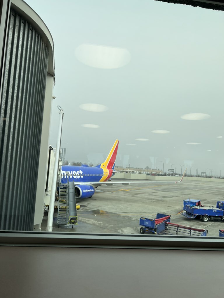 Shane Roach tweet media