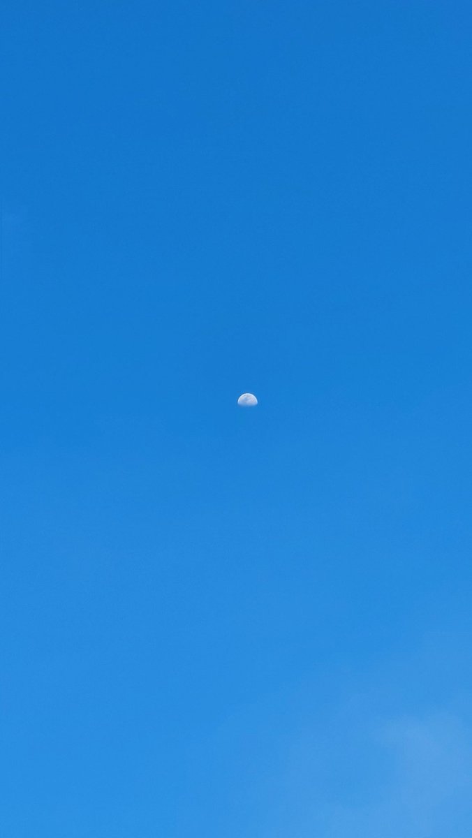 zbbdhhh's tweet image. A Series #A52s