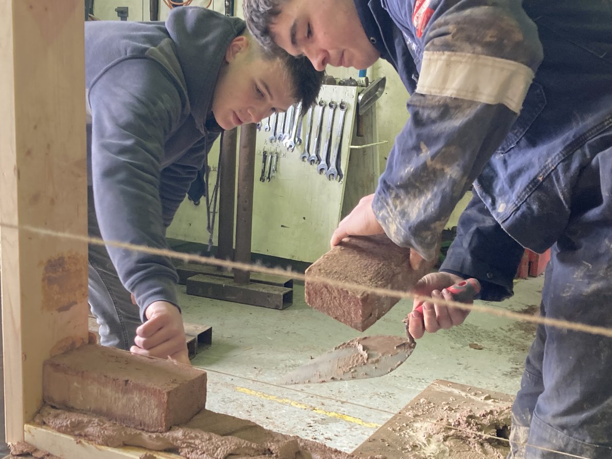 Fferm Fronlas Farm tweet media