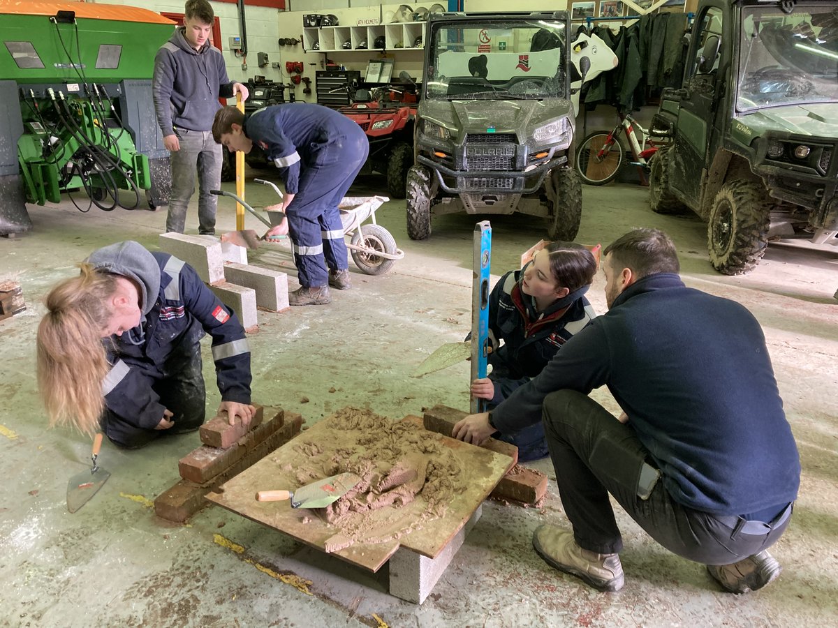 Fferm Fronlas Farm tweet media