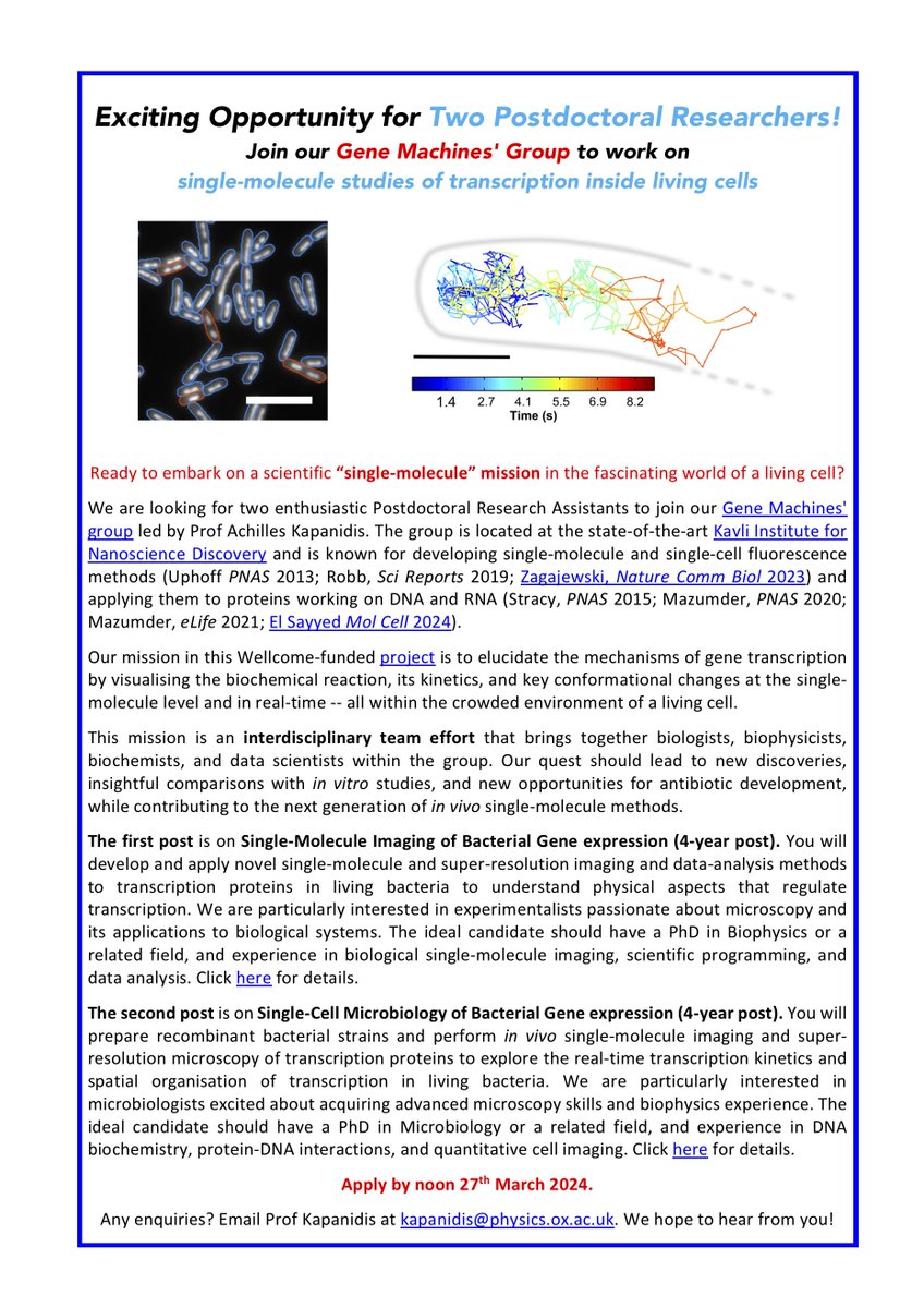🔬Exciting Opportunity! 🌐Join us at @kavlioxford in a mission to unravel gene expression inside the jungle of live cells! Intrigued by single molecules, RNA, condensates, AI and bacteria? Read on! 🚀Two 4-year positions. RT pls! #ScienceJobs #Postdoc #bacteria #singlemolecule🌟