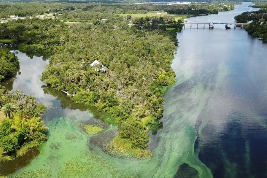 DrDeanMitchell1's tweet image. Lake O is polluted with excessive nutrients and pesticides. The artificial watershed causes negative consequences for the Kissimmee River basin, the Everglades, as well as St. Lucie and Caloosahatchee River estuaries, such as cyanobacteria algae blooms. #FridayFieldUpdate