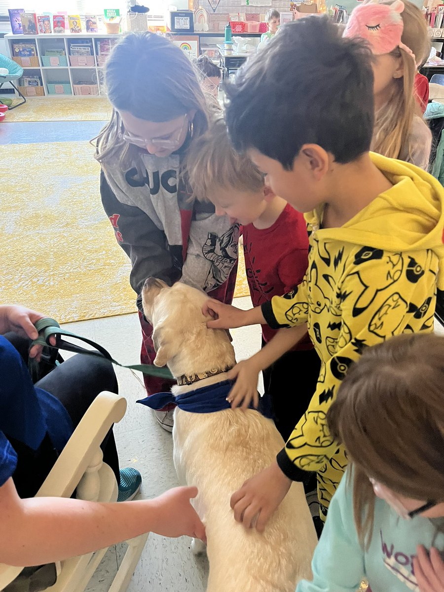 Such a fun mystery reader surprise 🐶📚<a href="/115ccgs/">Circle Center Grade School</a>