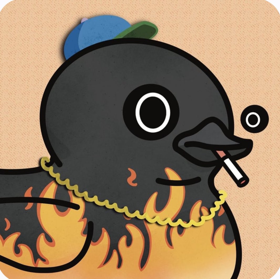 COQonKET🔺 tweet media