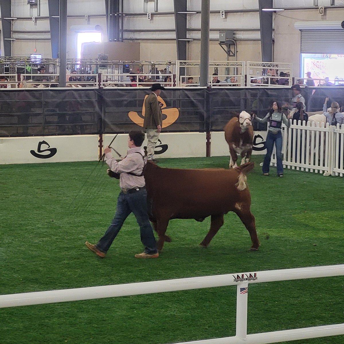 Overnight runs to San Antonio are the best way to go to AG Mechanics shows. Arrive at 5:40am, unloaded by 10, just in time to catch an Allen FFA member show his steer.