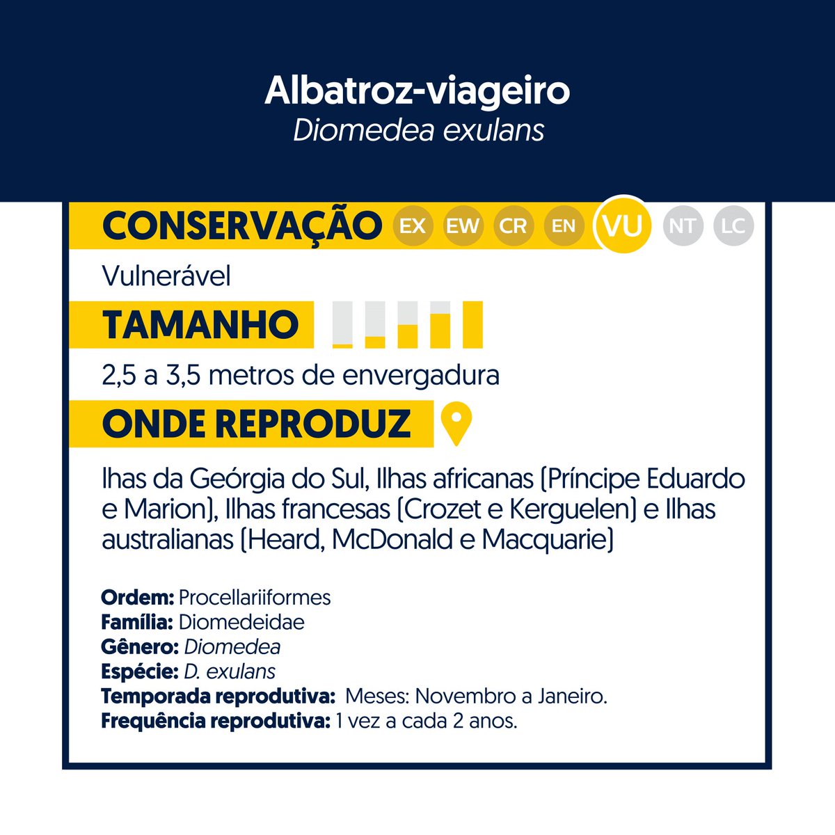 O Albatroz-viageiro (Diomedea exulans) é a maior ave do planeta, com uma envergadura que pode chegar a 3,5 metros! É uma ave difícil de avistar e seu tamanho é impressionante. Por isso, quem já encontrou um desses em alto-mar nunca esquece! #ProjetoAlbatroz @petrobras