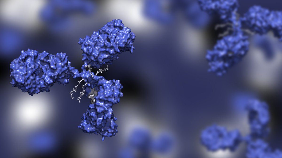 Our products were used in new research that sheds light on a promising new antibody (SAR443809) that could revolutionize treatment for complement-mediated disorders. Learn more by reading our blog here: innov-research.com/blogs/product-…
