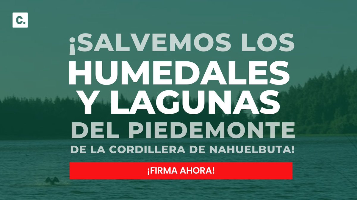 #URGENTE 🚨 +4.400 personas piden protección de los #humedales y #lagunas del piedemonte de la #Cordillera de #Nahuelbuta 🌱 Están en ALTO RIESGO por un proyecto de vialidad 🚗 @rdiazworner @Maisa_Rojas @carlosmontestwt @jlopezsaffie SUMA TU FIRMA AQUÍ👇 change.org/p/salvemos-los…