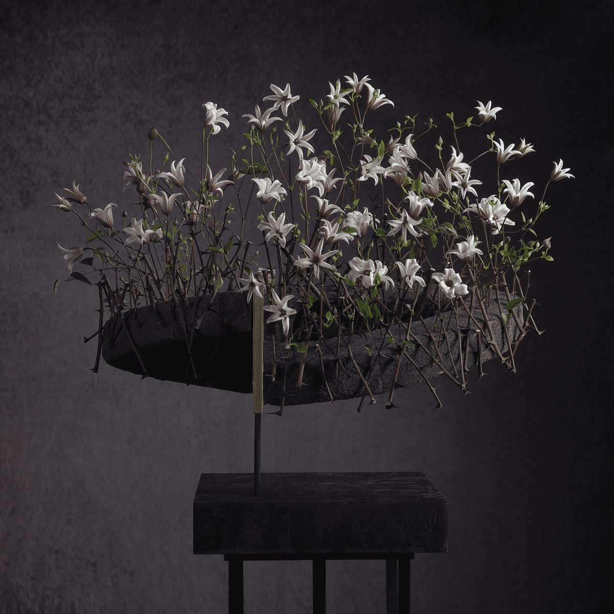 Gábor Nagy, un talentueux designer hongrois apportera une touche unique aux Floralies 2024 ! 🏵Véritable maître dans l’art de manier les fleurs et les feuillages, il est connu pour transformer des éléments simples en œuvres florales spectaculaires.💐
#Floralies2024 #Designer