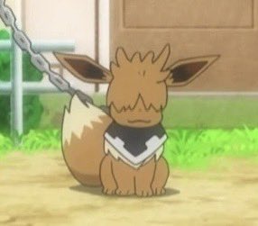 PokemonGems's tweet photo. this eevee 🥺 https://t.co/uPtXYL9emJ