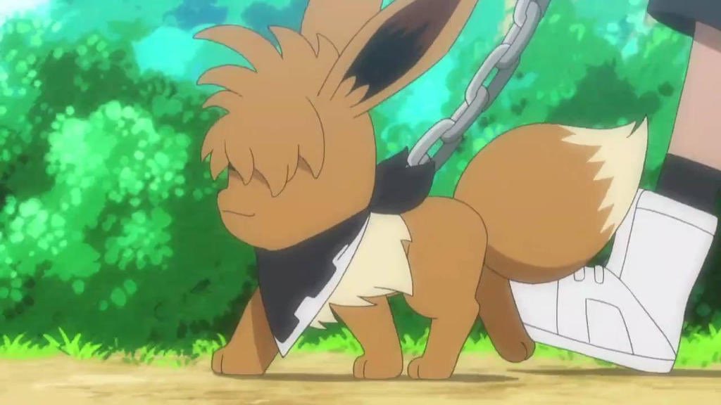 PokemonGems's tweet photo. this eevee 🥺 https://t.co/uPtXYL9emJ