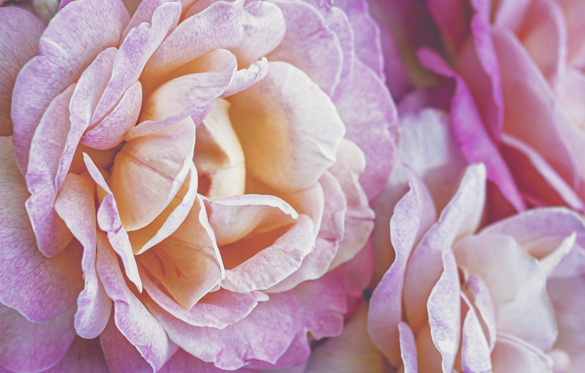 Gordana Biernat tweet media