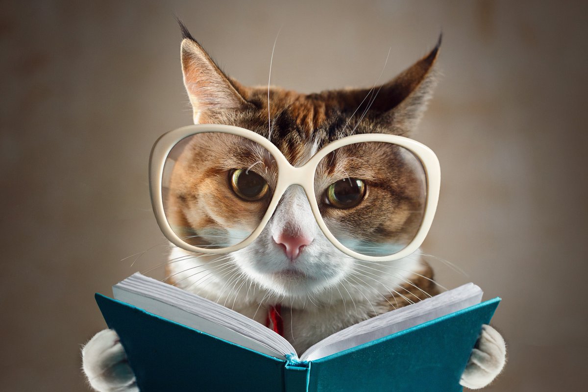 We're all up and running again after a few gremlins on our website earlier this week!
We're looking forward to receiving your entries..... Closing date is fast arriving! ruberybookaward.com
