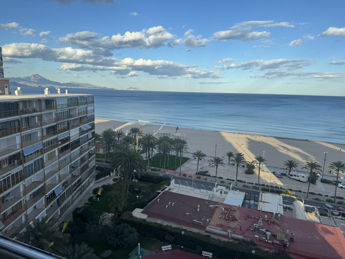 Nereo #playasanjuanalicante