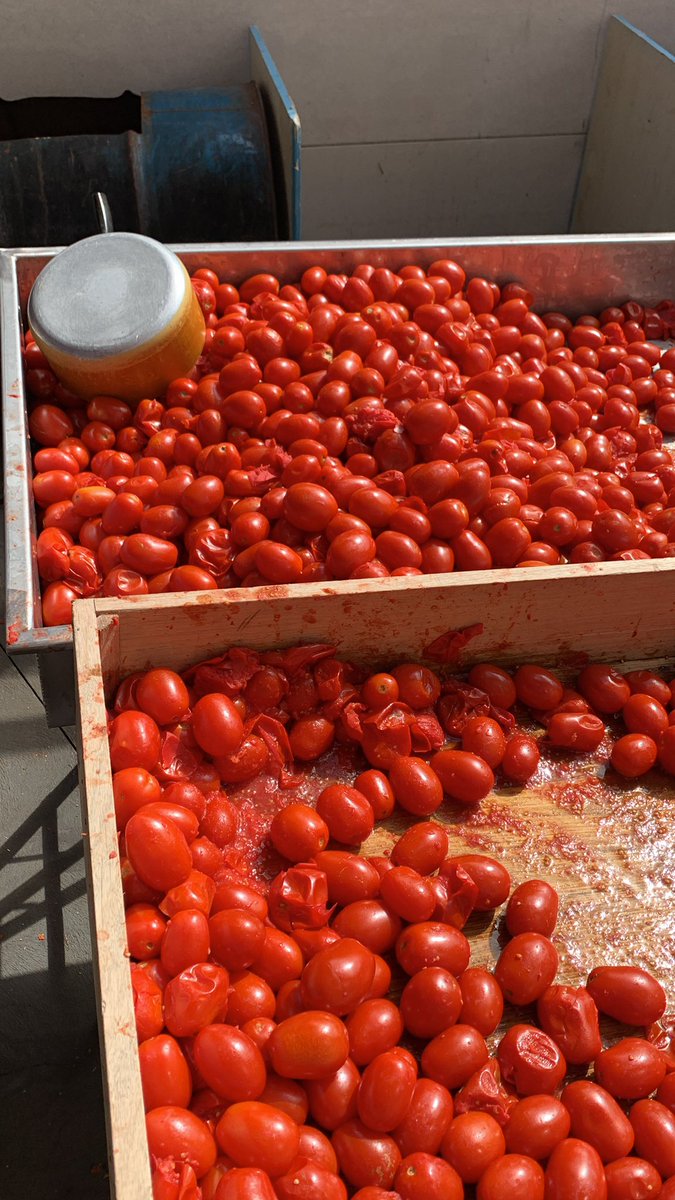 GT937orBust's tweet photo. Todays the day…
@RateMyWogFood
#passata https://t.co/wsqgV2jPK1